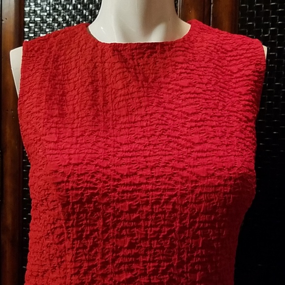 Zara Red Flare Dress - Picture 4 of 5